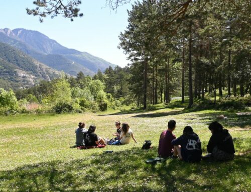 L’estiu dels esplais: reivindiquem el model del lleure associatiu de base voluntària