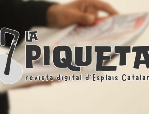 Com puc participar a La Piqueta, la revista digital d’Esplais Catalans?