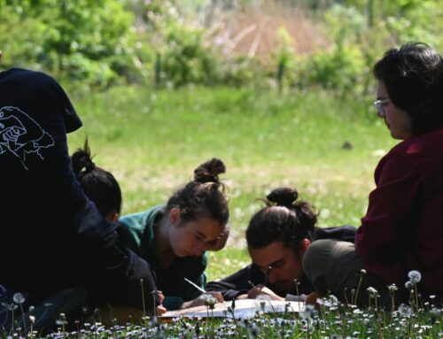 Els esplais juguem un paper clau en l’antifeixisme: posem al centre un projecte educatiu comunitari enfront d’uns discursos que ens volen dividir